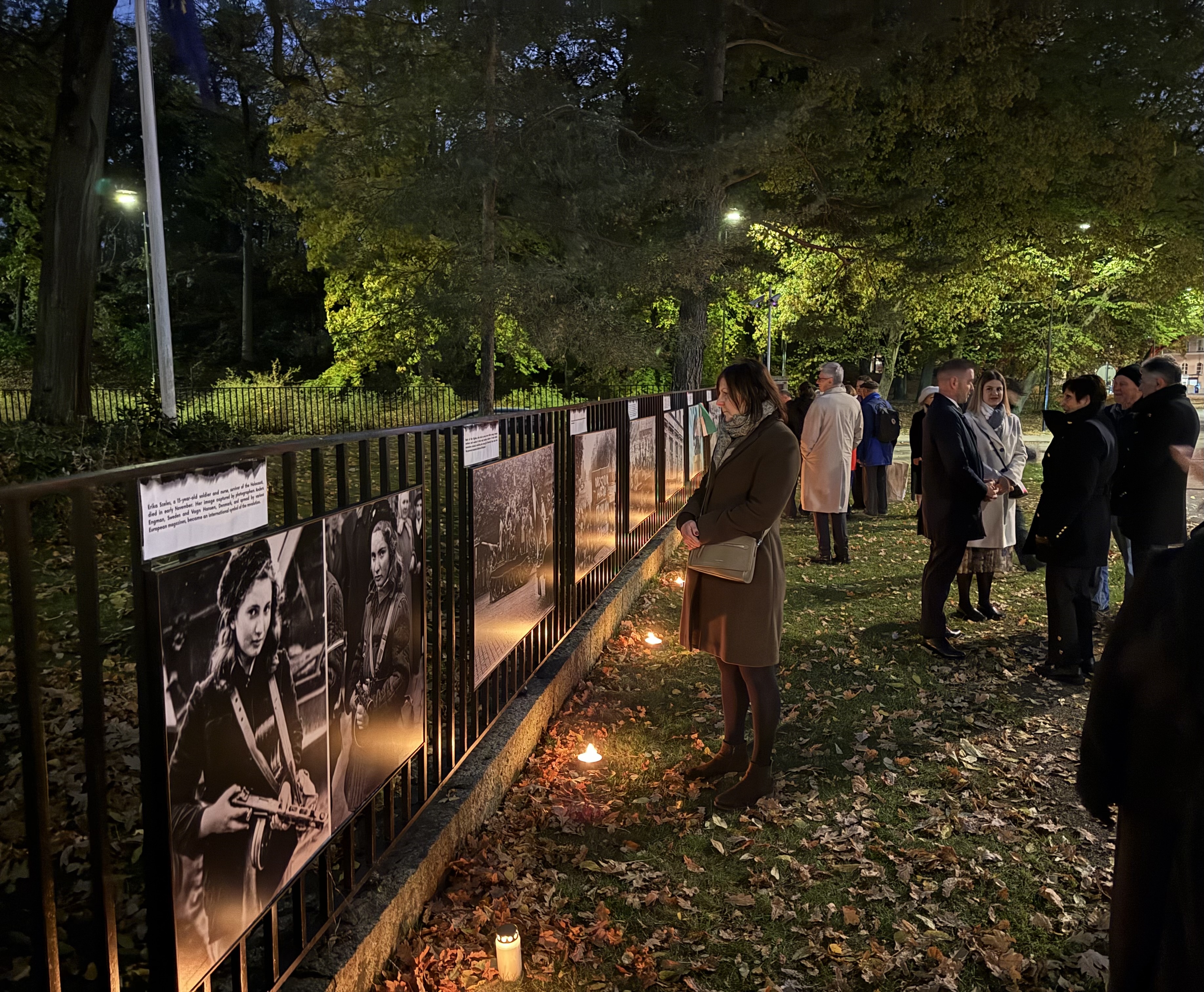 Nemzeti ünnepi fogadás és kiállítás